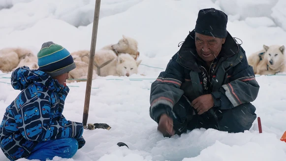 我都騎月月上學！《北極上學趣》帶你體驗天龍老師的「極光小學」震撼教育！