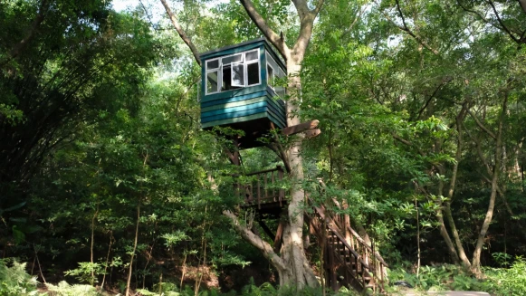 到勤美學來一場森林的小旅行吧！