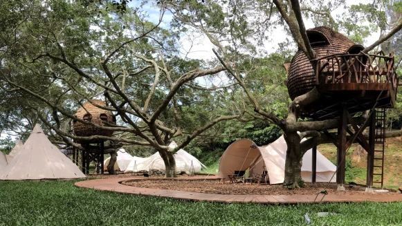 沉浸式劇場漫遊，絕美樹屋聚落！走入勤美學「好夢里」，為你帶來一夜酣眠