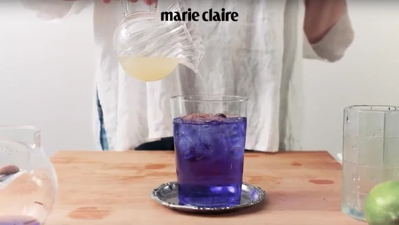 【TGIF】來一杯超夢幻的清涼飲料，蝶豆花茶（Butterfly Pea Tea）