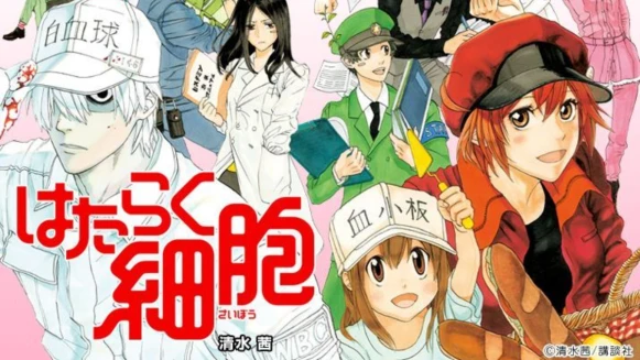  日本醫學、教師界強力推薦！超人氣動漫《工作細胞》，擬人化血小板、紅血球、白血球，告訴你人體的奧妙與哲學！