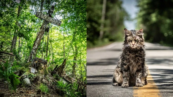 讓死去的毛小孩復活......改編史蒂芬金經典恐怖小說，新版《禁入墳場》驚悚回歸大銀幕