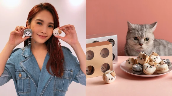 全台限量2000盒！Dazzling Cafe「貓狗馬卡龍造型公益禮盒」，超萌哈士奇、橘斑貓造型毛主人必收