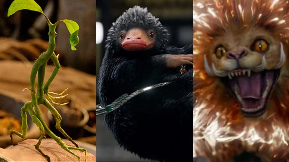 真的好想養一隻!玻璃獸、木精、中國神獸「騶吾」......《怪獸與葛林戴華德的罪行》這些可愛奇獸們你都認識嗎?