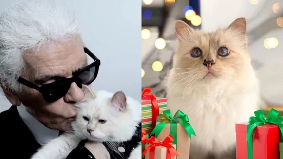 卡爾拉格斐無極限寵愛貓Choupette：搭私人飛機、專屬女傭照顧、使用全球第一把Dyson吹風機...