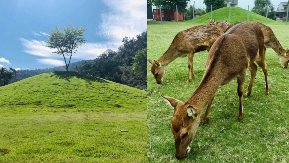 宜蘭必訪去處再加一！鄰近梅花湖的「斑比山丘」，不只有小鹿亂撞還有這座綠色山丘