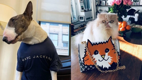 他們都是貓狗奴！時裝設計師和他們萌度爆棚的毛小孩大集合