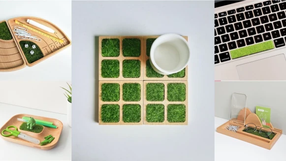 厭世人生必買！6款草皮系療癒小物，從杯墊到收納盒全部綠油油的好解壓