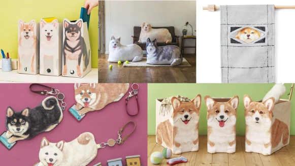 被狗狗們包圍的幸福日常！日系雜貨7款狗狗造型實用小物特搜，哈士奇化身綿被收納袋、柯基變成收納籃