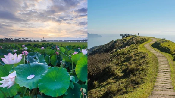 【玩咖懶人包】週末衝一波IG絕美秘境！台南有蓮花海、台中「水漾森林」美如仙境、草嶺古道來場健行好療癒