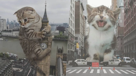史上最萌怪獸登場！當「喵吉拉」征服地球會變成怎麼樣？貓奴們一起來進貢罐罐