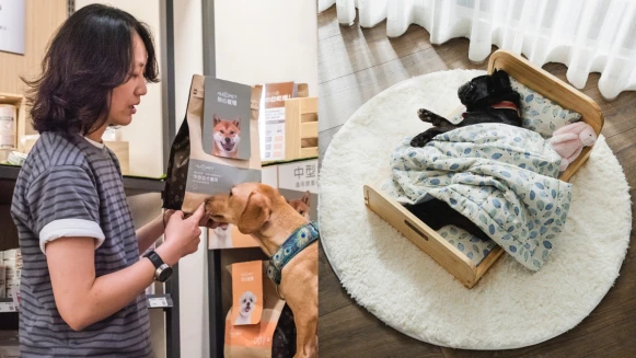 毛小孩父母快逛HOLA寵物專區！22萬網友大推的「毛起來」、網紅一致好評家具「拍拍」、客製化乾糧全都有