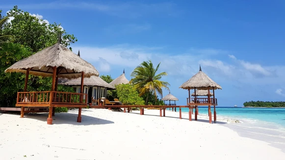 【溫士凱專欄】我在馬爾地夫悅榕庄 Banyan Tree Vabbinfaru Resort ，遇見世上最療癒的魟魚笑臉