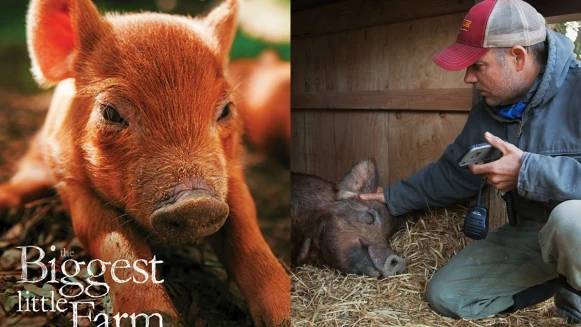 《我家有個開心農場》瘋狂夫妻的真實人生!打造當代版諾亞方舟:「計畫趕不上大自然的變化。」