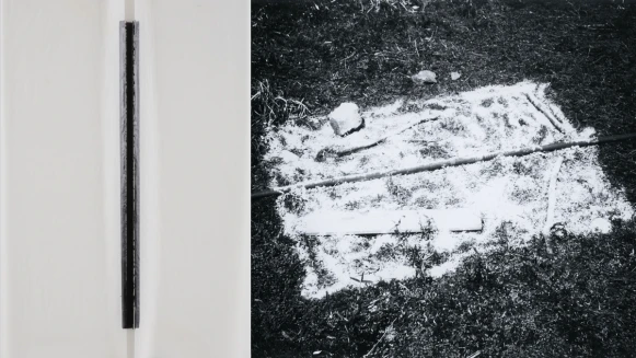 「讓材料自己說話！」日本物派藝術大師菅木志雄《反界結端》個展，奉還藝術話語權的返璞之道