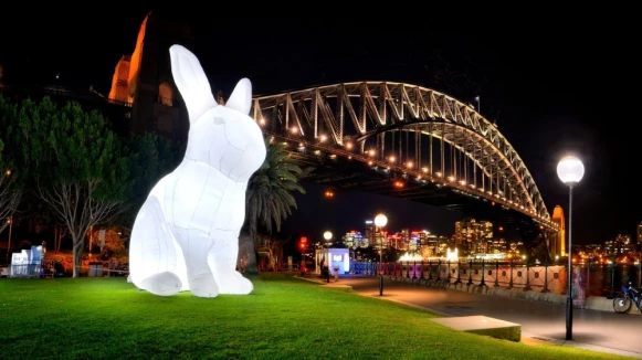 週六補班完立刻衝「2019白晝之夜」！七公尺高白色巨兔、光影變化飛鳥，根本捨不得睡