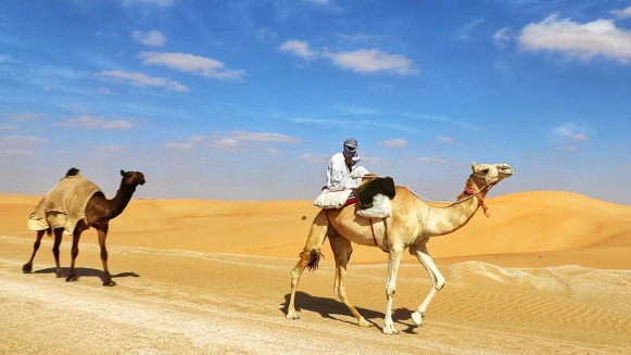 【溫士凱專欄】搭郵輪翻轉阿拉伯1001夜，輕鬆過足富豪夢！