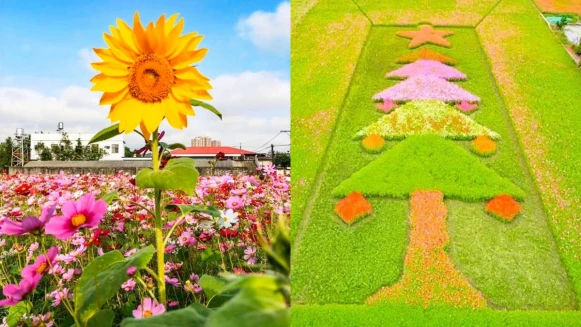 「2019桃園花彩節」浪漫來襲！三大展區日期&amp;地點公開，聖誕樹、茶壺花海必拍到手軟