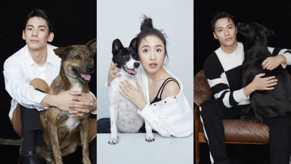 女神林依晨與毛小孩比萌!攜手張睿家、林柏宏拍攝2020公益年曆,呼籲領養代替購買