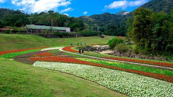 台北秘境花海正熱鬧綻放！內湖420坪繽紛花草成踏青首選地，交通還超方便