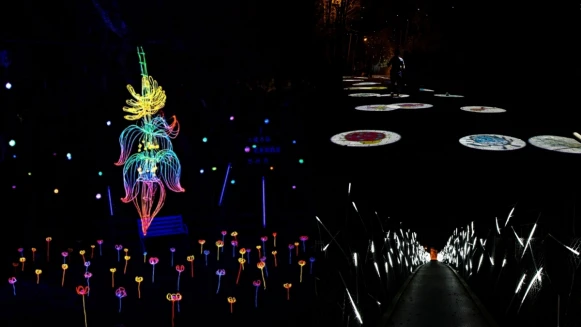 人潮破10萬！台南「龍崎空山祭」燈節延長到元宵節，光蟲奇幻世界、流光橋等9大作品點亮山城