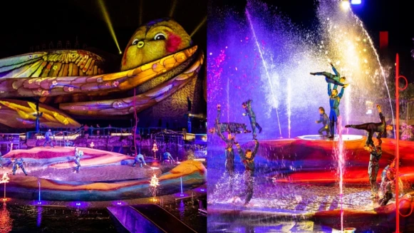 香港海洋公園推出全新大秀「光影頌」！360度光雕結合水火特效、刺激跑酷，完全捨不得眨眼