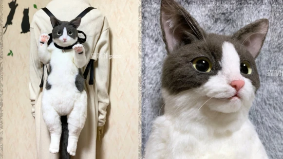 宛如背一隻真貓出門！日本「整隻貓咪後背包」狂洗版推特，肉球、鬍鬚都神還原，逼真度100%