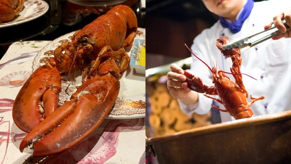 直接打3折！台北君品酒店推「加拿大活龍蝦吃到飽」，飽滿多汁、厚實肉質太美味，老饕必大嗑一回