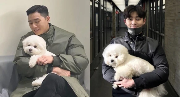 朴敘俊是犬派!愛狗男人魅力強,汪星人愛犬「辛巴」萌樣超討喜!