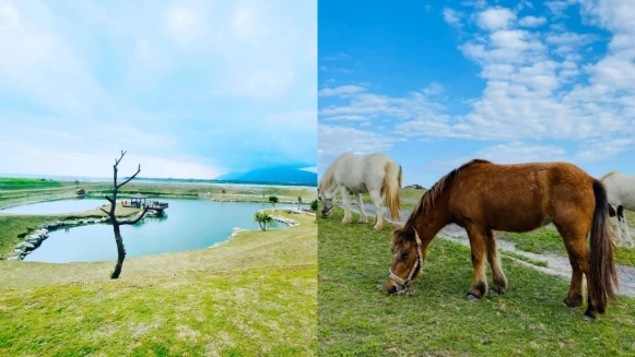【花蓮景點】「台版紐西蘭」崇德瑩農場成防疫不出國旅遊首選！無敵山海景色太紓壓，別忘記玩飛行傘練膽量