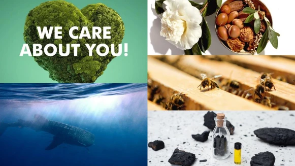 為永續經營而努力！這些品牌的過去、現在與未來，都不曾遺忘我們居住的地球保護！