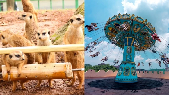 2020兒童節5大遊樂園活動總整理！全台最大動物派對、10萬株薰衣草花海、12歲以下免費入場...快去紓壓一波