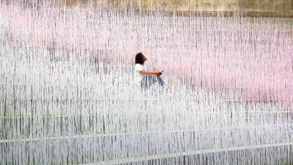 苗栗下雪了！臺灣客家文化館打造51天全新夢幻地景，粉紅漸層雪景重現油桐花落地之美