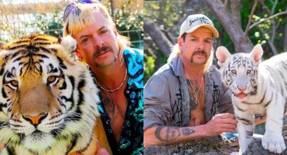 Netflix《虎王》紀錄片爆紅！八點檔劇情、好友互撕，完全偏題的老虎動保議題，超級神展開！