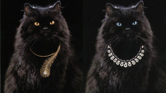 珠寶小學堂｜Boucheron品牌史上最萌形象面孔，不只擔綱廣告要角，還有以牠為名的珠寶！