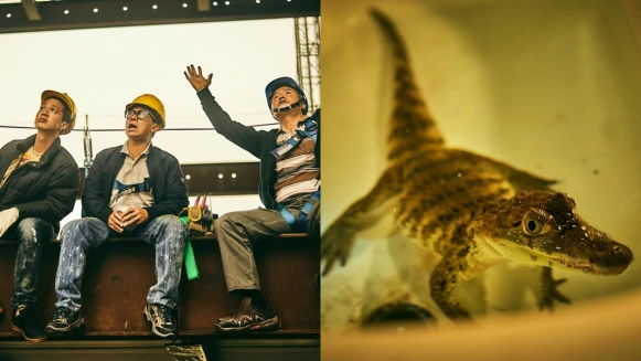 台劇《做工的人》被讚「看著看著就想哭」!寫實刻畫市井小人物的堅毅精神,劇中小鱷魚成最火新演員