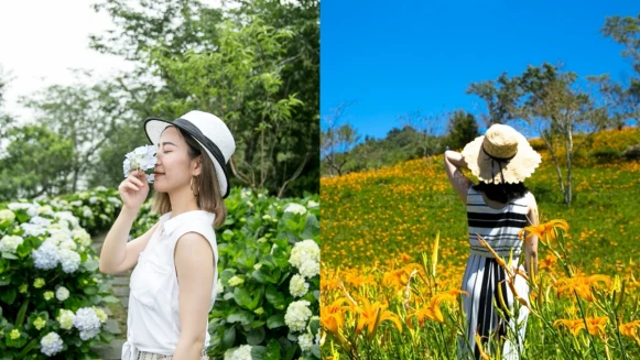 一次把夢幻繡球花、金針花拍好拍滿！台東知本老爺酒店帶你賞夏季繽紛花海，晚上再泡美人湯溫泉
