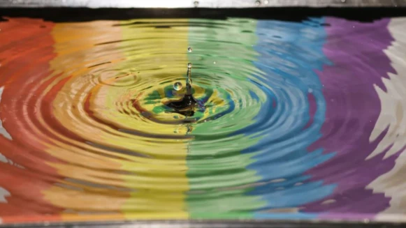 給黃氏兄弟瑋瑋的一封信：世界不夠良善，謝謝你願意溫柔待己