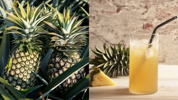 消暑必備！微熱山丘推「100%鳳梨汁」酸甜滋味強勢回歸，還可以搭配冰啤酒一起喝