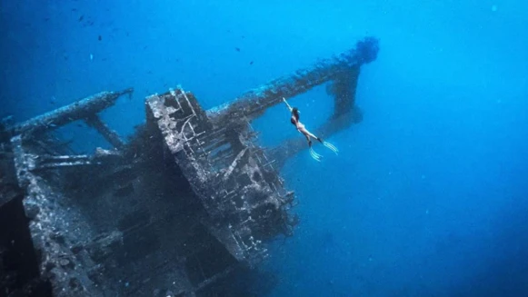 【台灣潛水】台灣十大潛水點大揭密！墾丁、綠島、蘭嶼、琉球夏日潛水趣