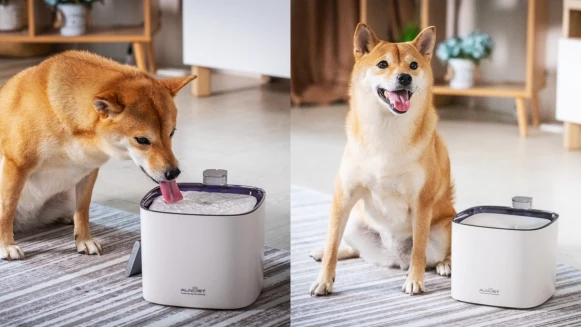 寵物飲水機推薦！PettoFund與ALNPET攜手推寵物智能偵測殺菌式飲水機，紫外燈殺菌、睡眠級靜音4大亮點公開