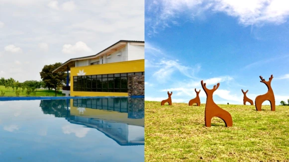 媲美森林遊樂園！台南新景點「官田遊客中心」耗時3年完工，小鹿、白鶴地景藝術融入大草原療癒滿分