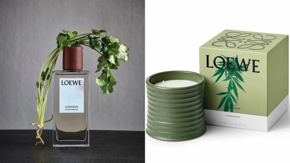 LOEWE竟然推出香菜香氛噴霧!2020年植物精華居家香氛系列還有大麻、甜菜根蠟燭