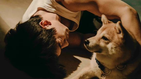 《黑喵知情》療癒只是開胃前菜，懸疑寫實也在人與寵物間上演