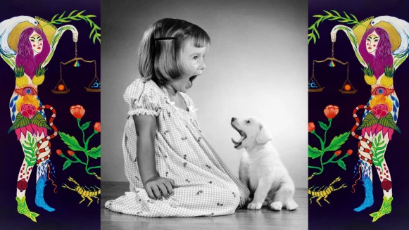 《美麗佳人》2021年度星座大預言：12星座工作運完整解析！