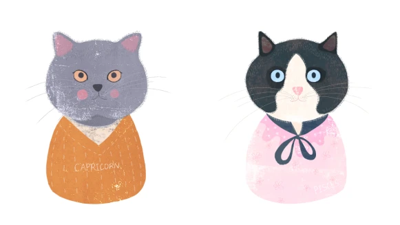 《美麗佳人》1月星座運勢：「新年善用計畫，摩羯座迎來命運轉捩點，雙魚座工作、金錢運齊上升」