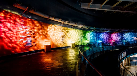 2021南台灣網美打卡景點！屏東海生館34公尺「色水廊道」登場，七彩波光粼粼海洋牆超夢幻