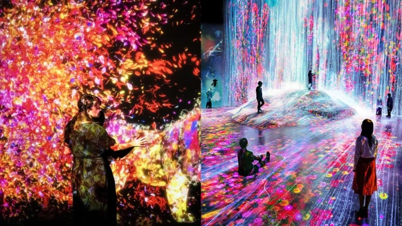 日本《teamLab Future Park未來遊樂園》6月登台！占地700坪、9大展區，絕美互動式藝術體驗展必拍一波