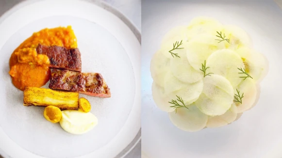 青田藝集—米其林二星餐廳 Vollmers 背書的瑞典風味