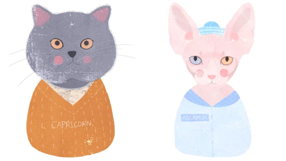 《美麗佳人》4月星座運勢：「摩羯座購物CP值擺首位，水瓶座破釜沉舟向前衝！」